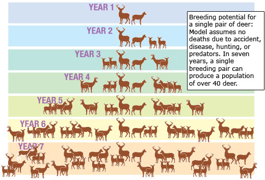 education required for animal breeder