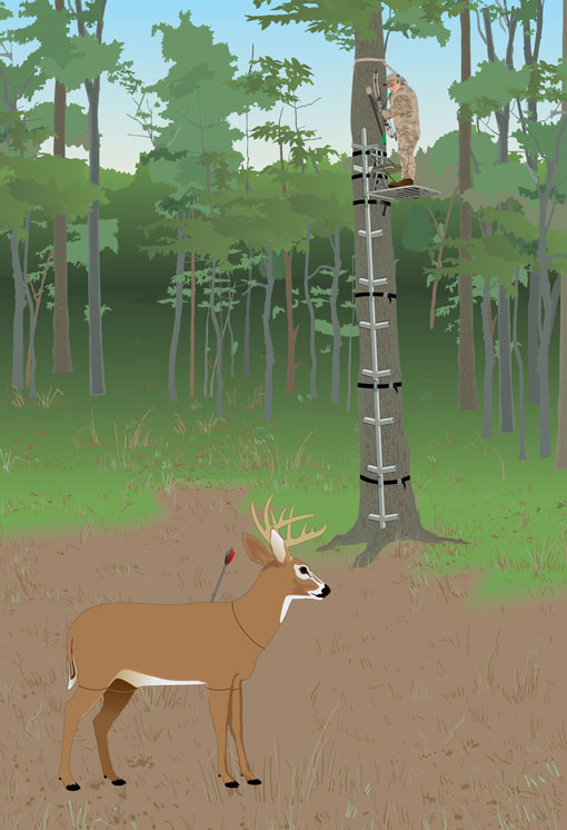 Distance practice shooting with decoy