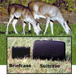 Distinguish adult deer from fawns