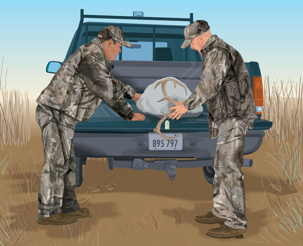 Cover game when transporting