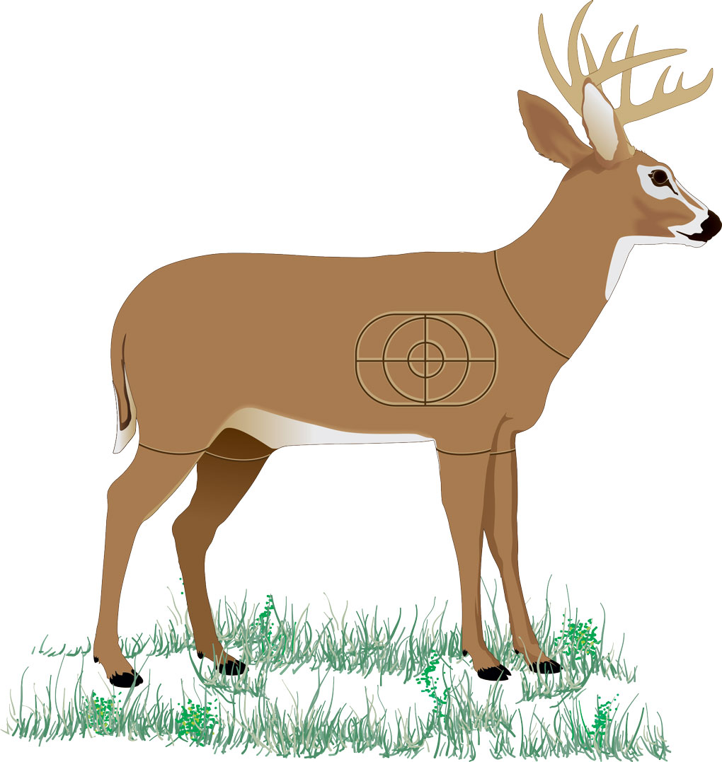 Deer decoy practice shooting