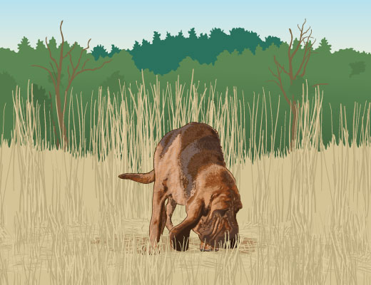 Dog tracking game