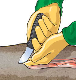 Field dressing an animal