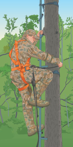 Climbing a tree stand